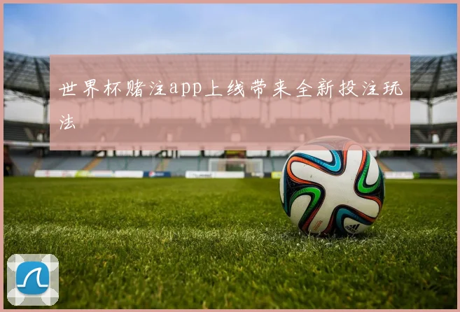 世界杯赌注app上线带来全新投注玩法