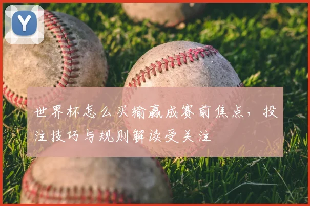 世界杯怎么买输赢成赛前焦点,投注技巧与规则解读受关注
