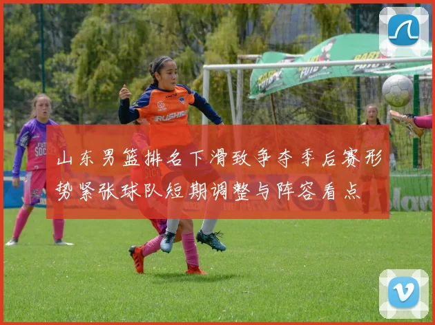 山东男篮排名下滑致争夺季后赛形势紧张球队短期调整与阵容看点