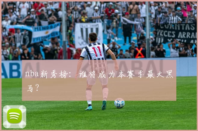 nba新秀榜：谁将成为本赛季最大黑马？